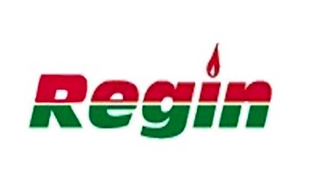 REGIN  REGS20